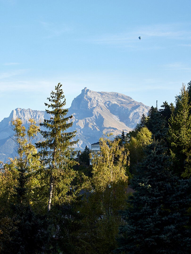 Adresse chic entre Mont d'Arbois et centre de Megève