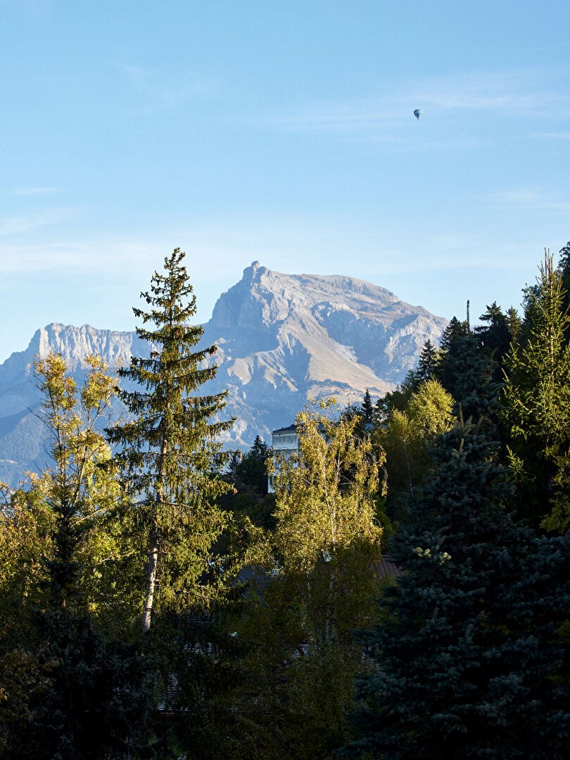 Appartement lumineux aux suites raffinées