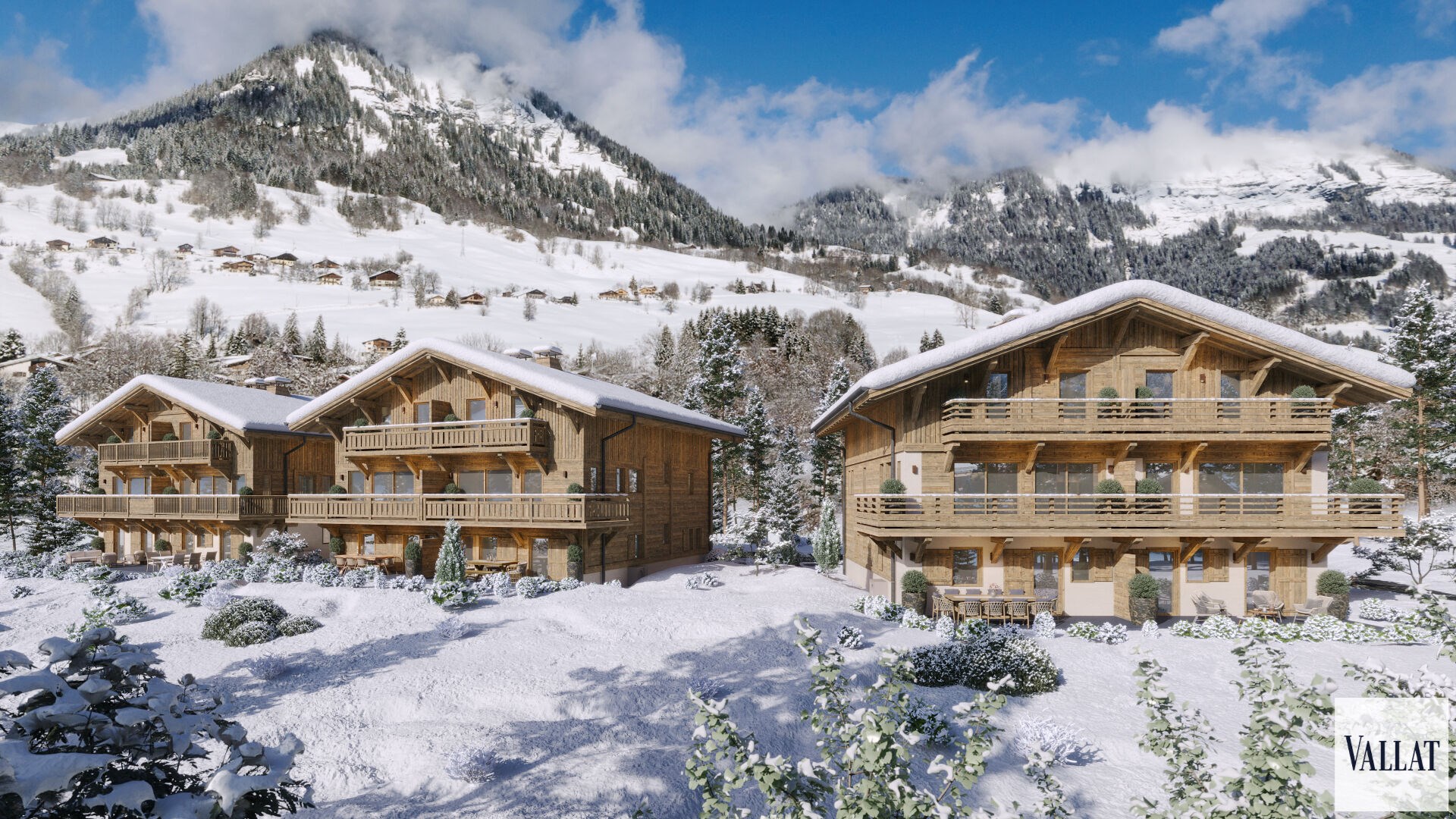 Demi-chalet familial