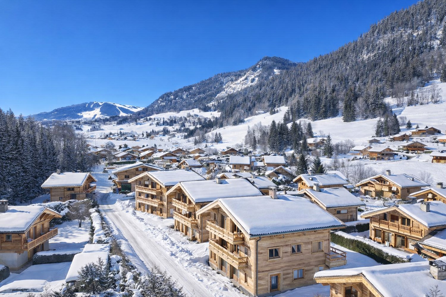 Demi-chalet familial