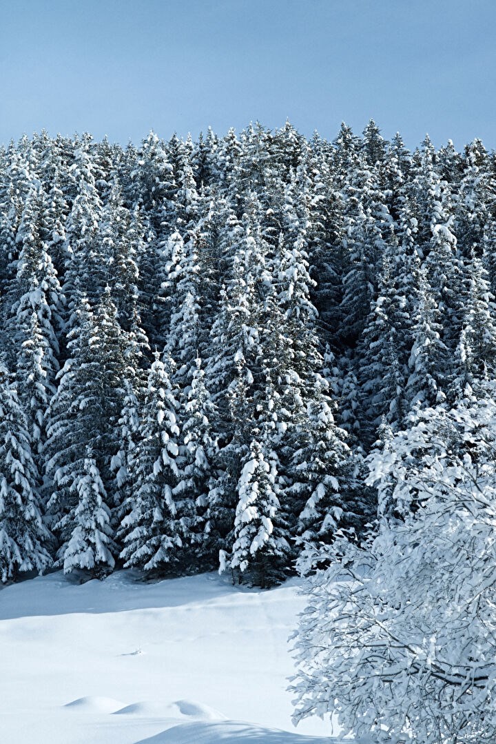 Demi-chalet familial