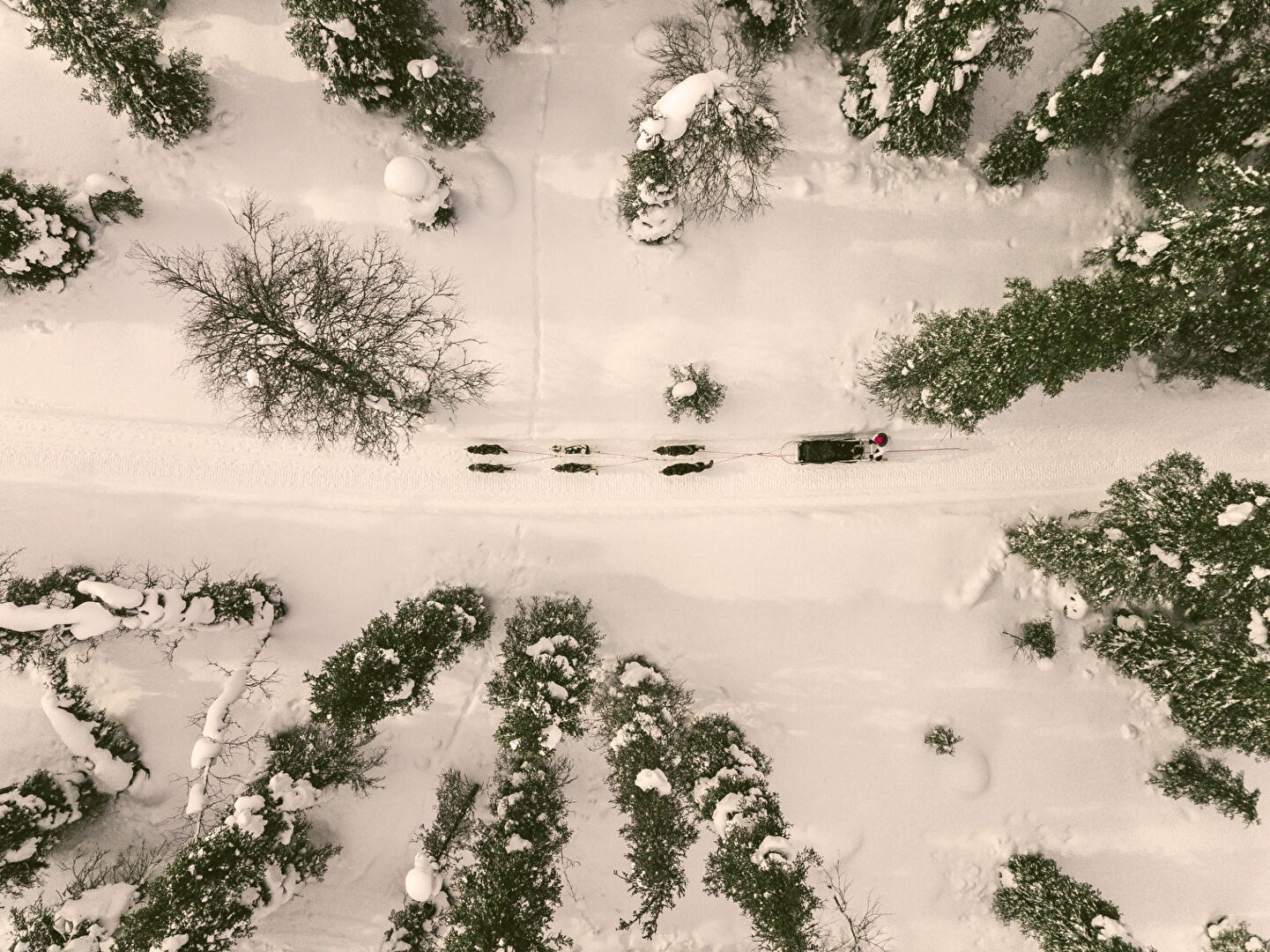 Demi-chalet familial