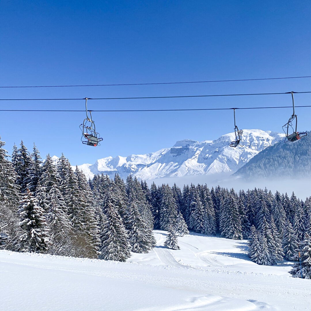 Chalet vue Mont Blanc