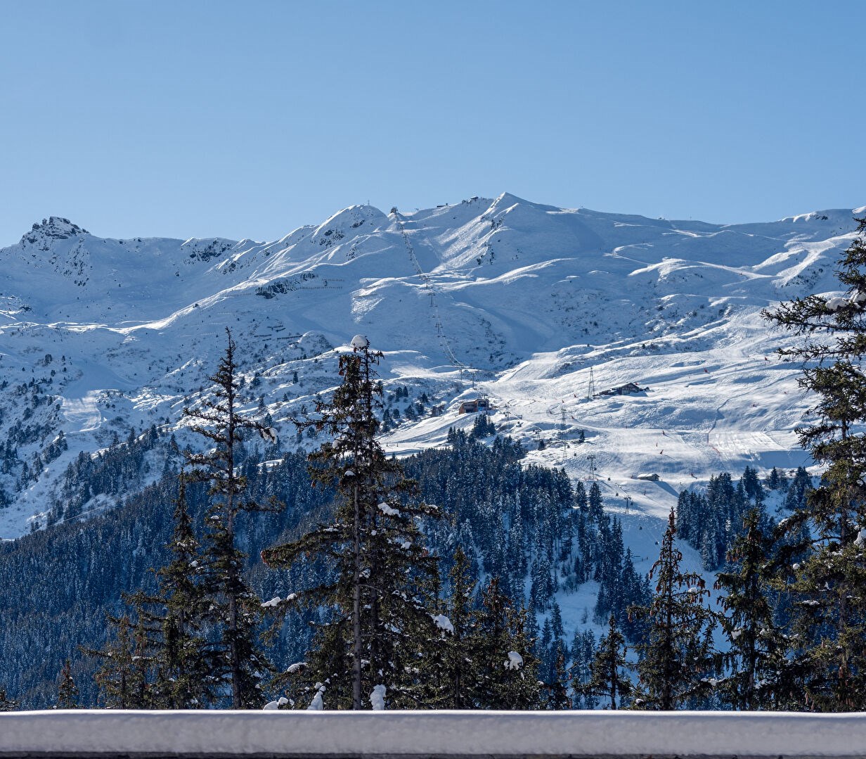 BELVÉDÈRE - APPARTEMENT SUR MESURE, CADRE BOISÉ