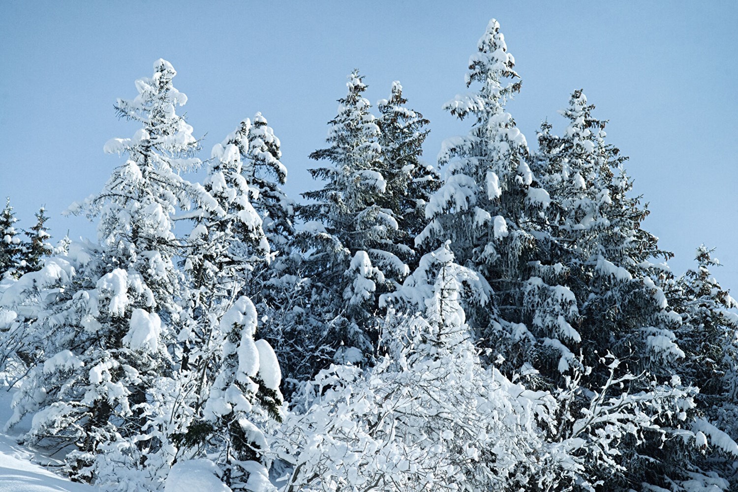 Chalet d'exception entre clairière et horizon