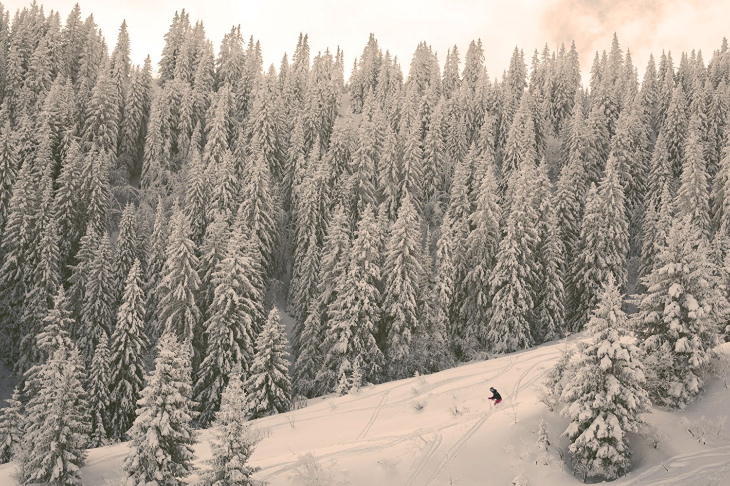 Chalet d'exception entre clairière et horizon