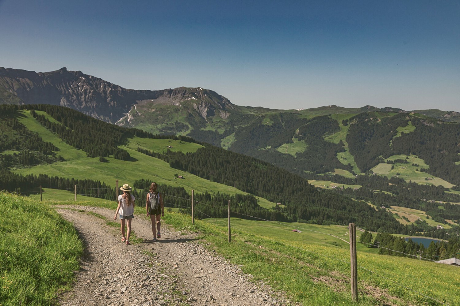 Deux chalets, une création