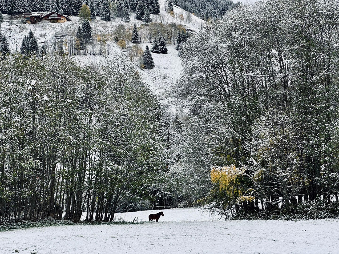 Two chalets, one creation