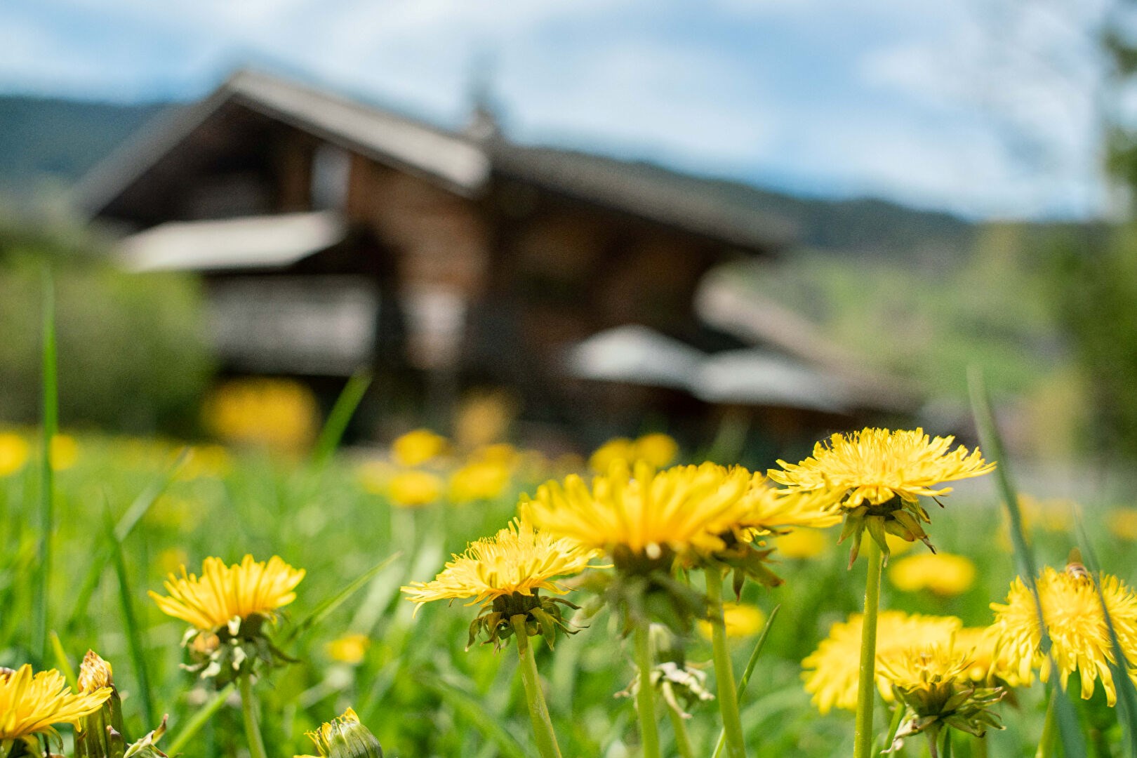 Un refuge discret à Megève