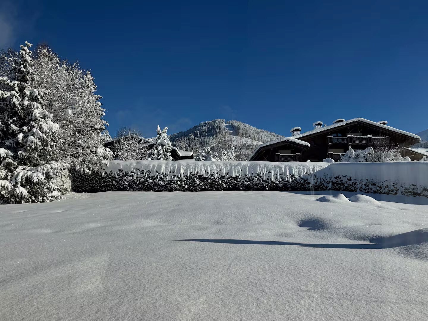 Mont d'Arbois: T3 au pied des pistes