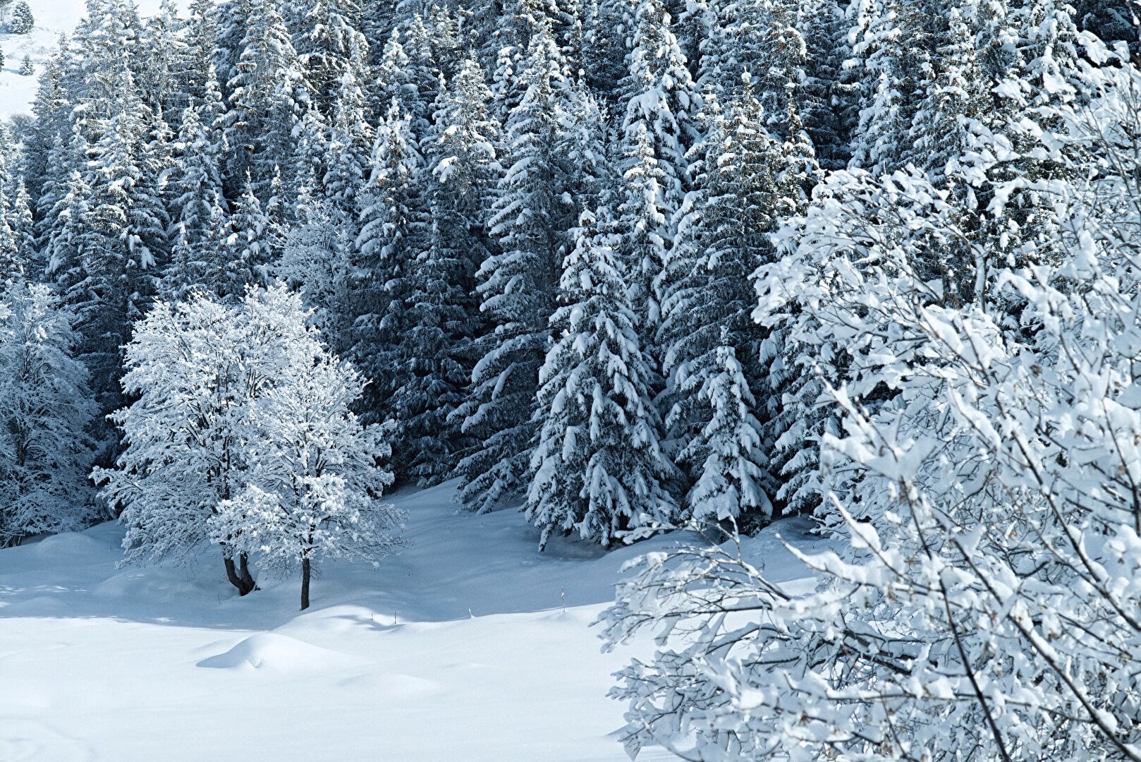 Chalet on Mont d'Arbois, alone in the world, facing the landscape