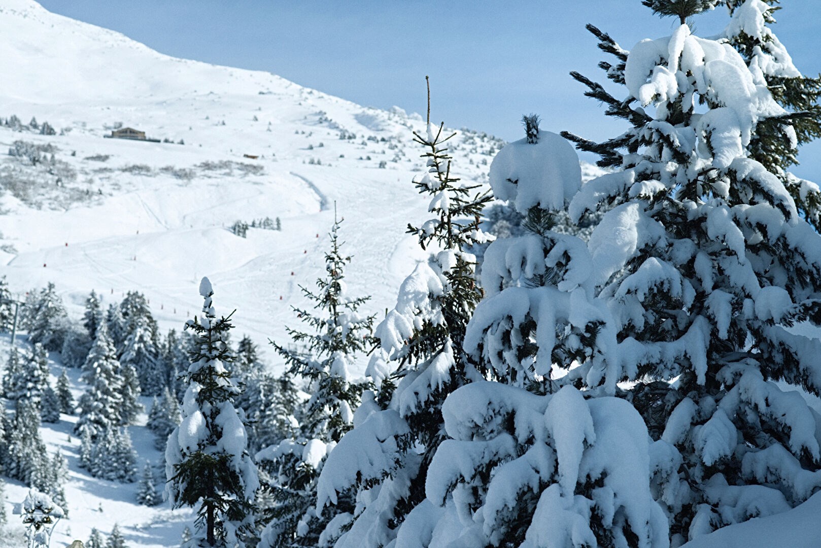 Chalet on Mont d'Arbois, alone in the world, facing the landscape